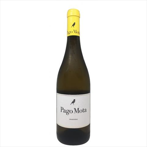 Pago Mota