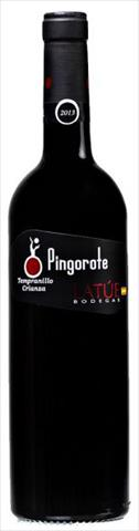 Pingorote Crianza