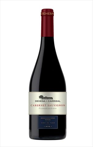 Magnum Dehesa del Carrizal Cabernet Sauvignon